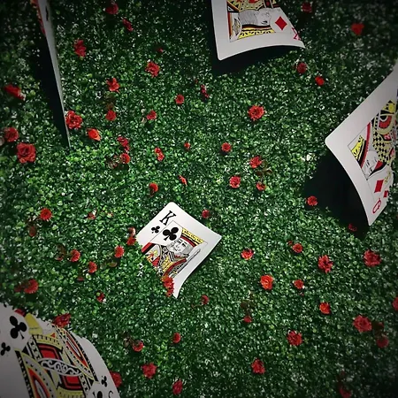 - 4 Couchages - & Billard Béziers